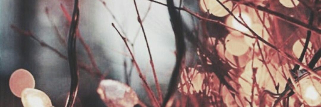Hamixi1's profile banner image