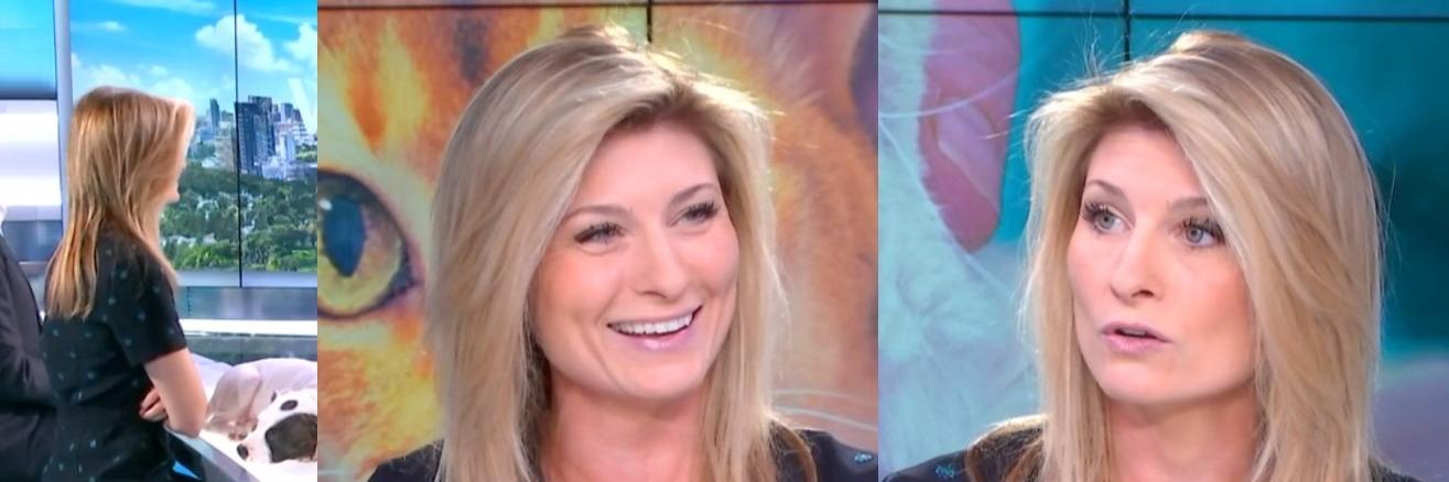 TvReal-Anim&celeb banner