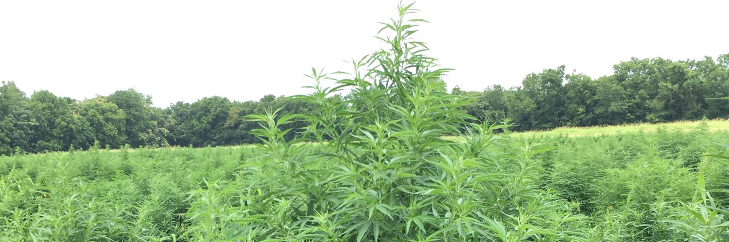 Tennessee Growers Coalition banner
