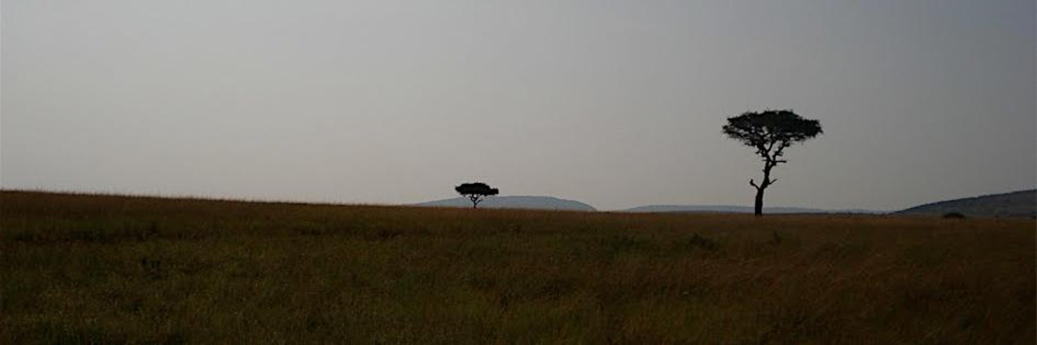 Lena Mathews MD MHS Profile Banner