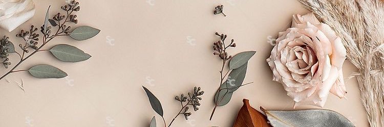 Rose77Soft's profile banner image