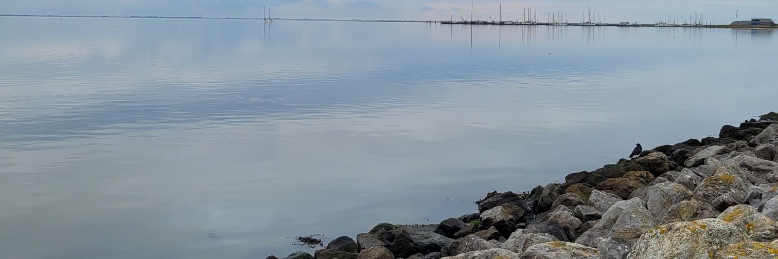 LiaWiering's profile banner image
