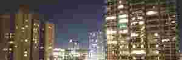 xravedogx Profile Banner
