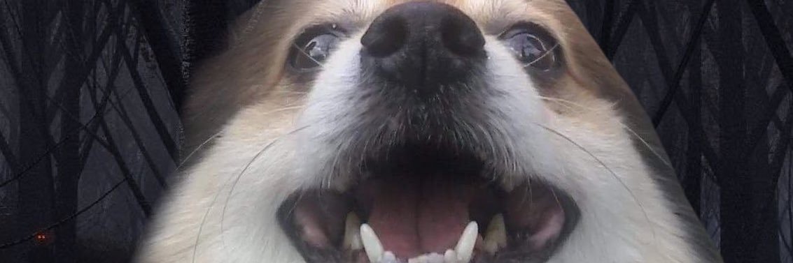 chillflowww's profile banner image