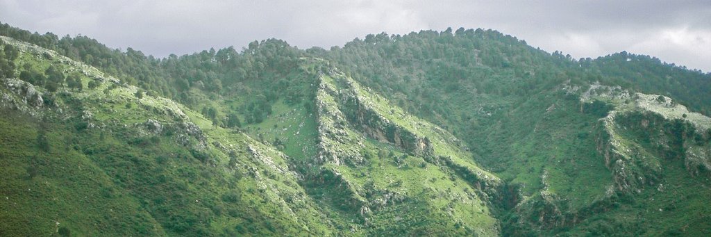 asmasch's profile banner image