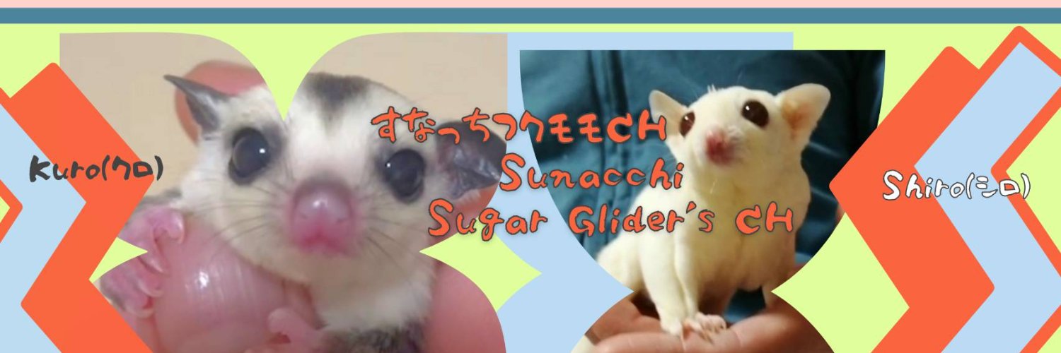 TTMSUNA's profile banner image