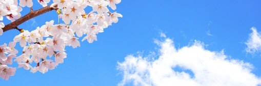 SORATO1616's profile banner image
