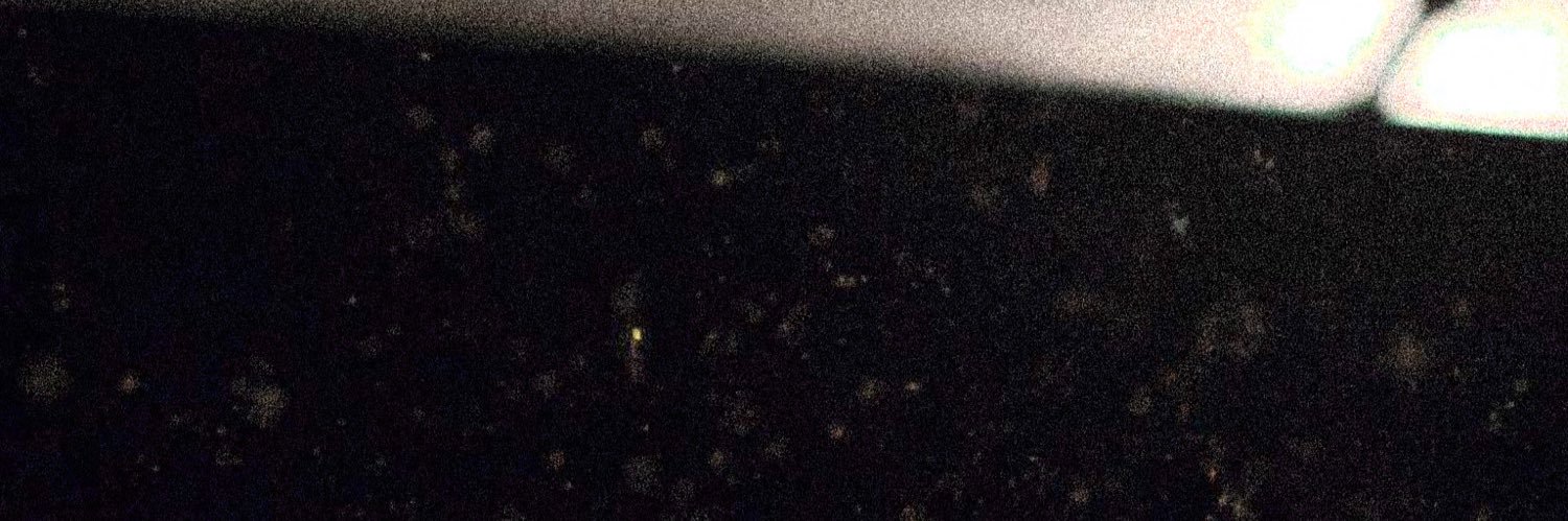 Pure Discretion banner