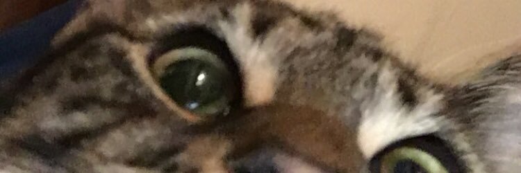 KizzyHaggett's profile banner image