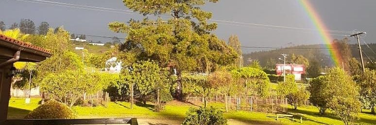 Puapette 🐕🇨🇱🇪🇦🐎 banner