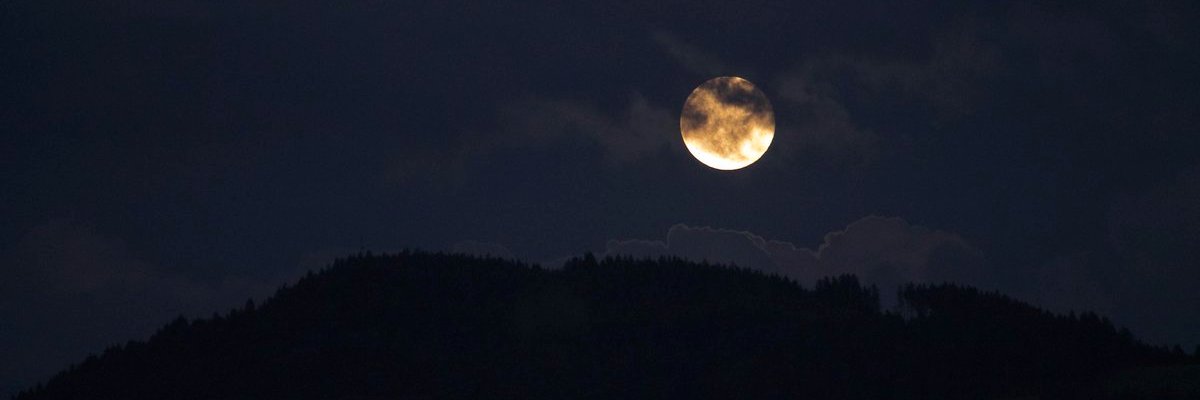 paige 🌙's banner