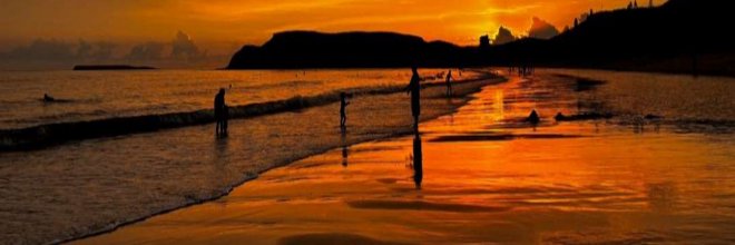 CnLee13's profile banner image