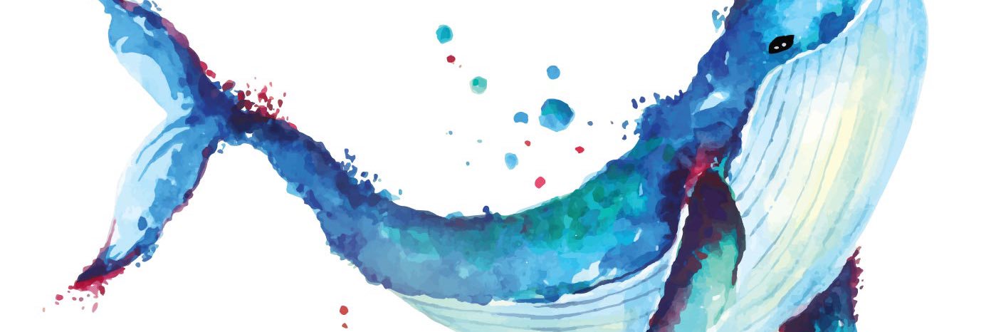 Reva_6's profile banner image