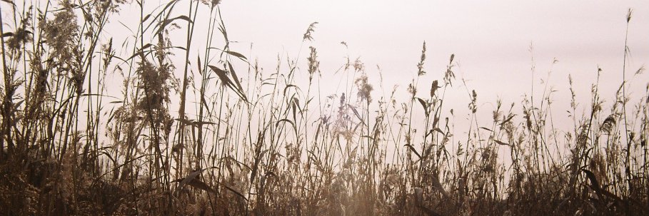 AlupiCabrera's profile banner image