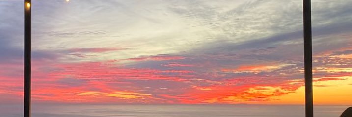 ilseleec's profile banner image
