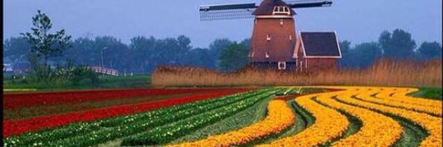 عبدالله ال رواس banner