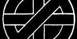 S.A.P.I banner