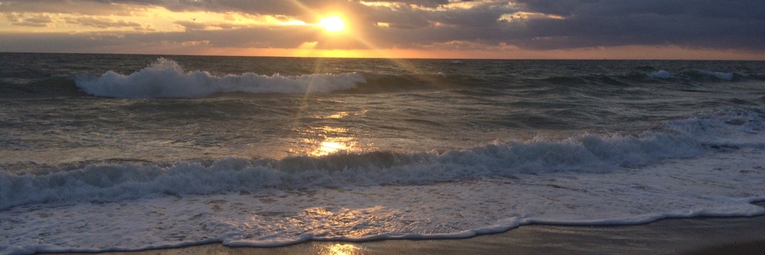 Ellen Anderson banner