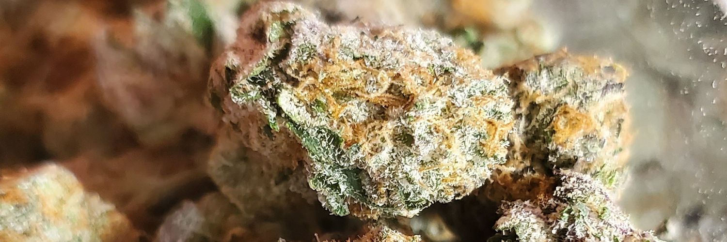 Cannabis and Constellations - Podcast 🌿🚀👽 banner