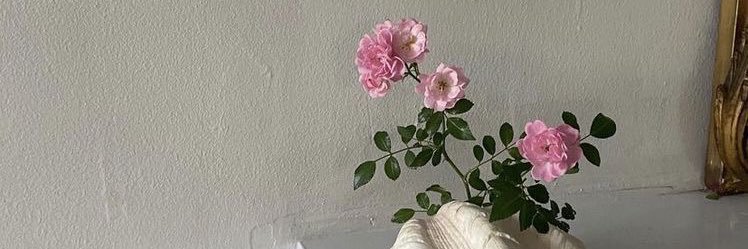 nadiya banner