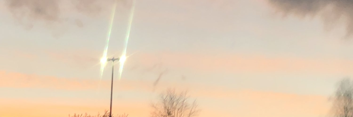 teddibeaar's profile banner image