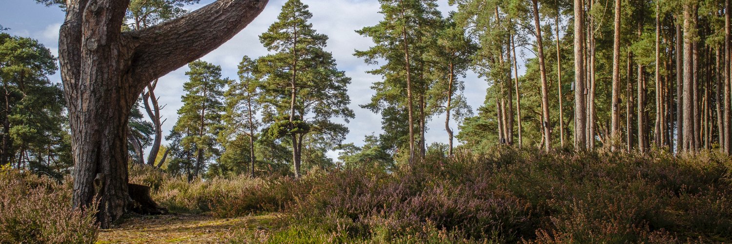 APVarney's profile banner image