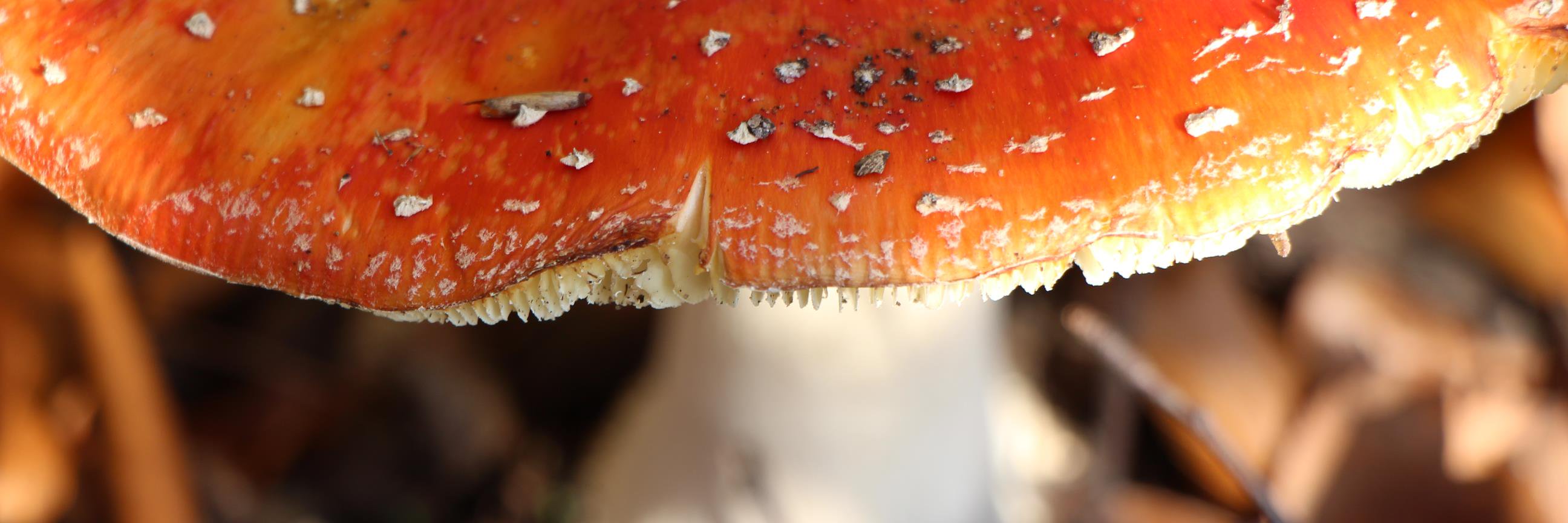 hjdennenberg's profile banner image