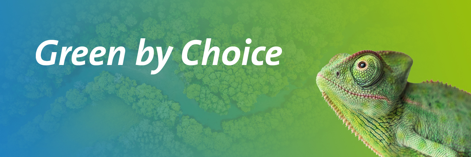 First Climate banner