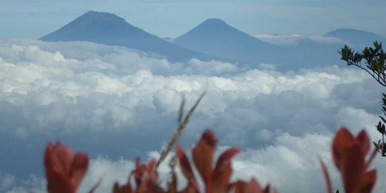 dhani_sh's profile banner image