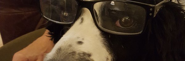 rogerthedoctor Profile Banner