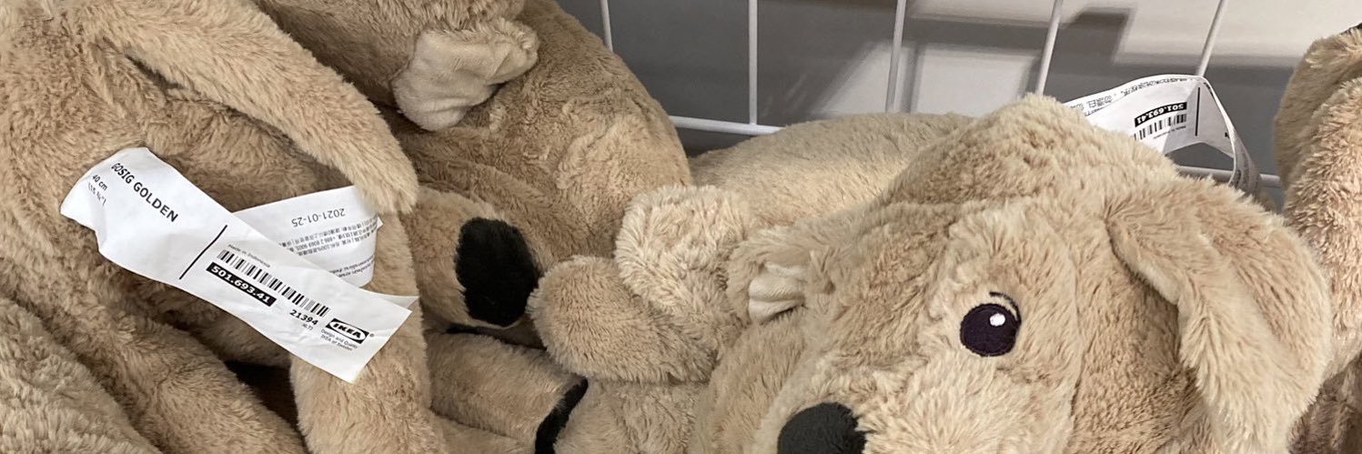 จตtriever🍀 banner