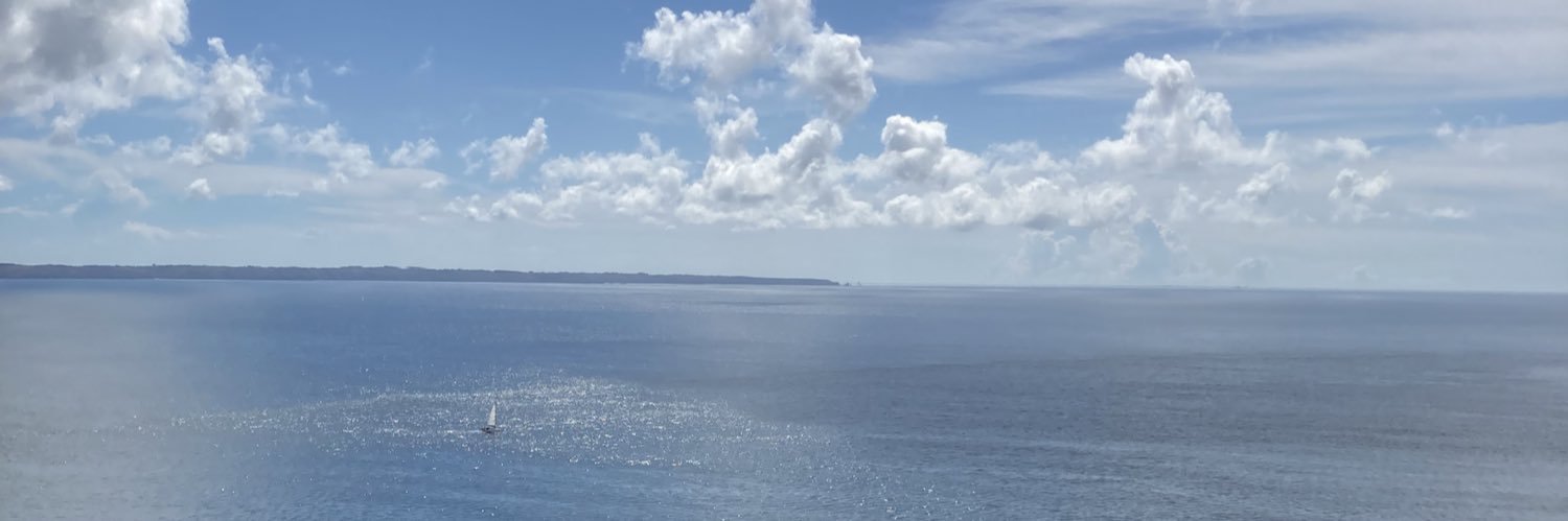 reedvzs's profile banner image