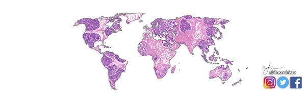 IHeartHisto Profile Banner