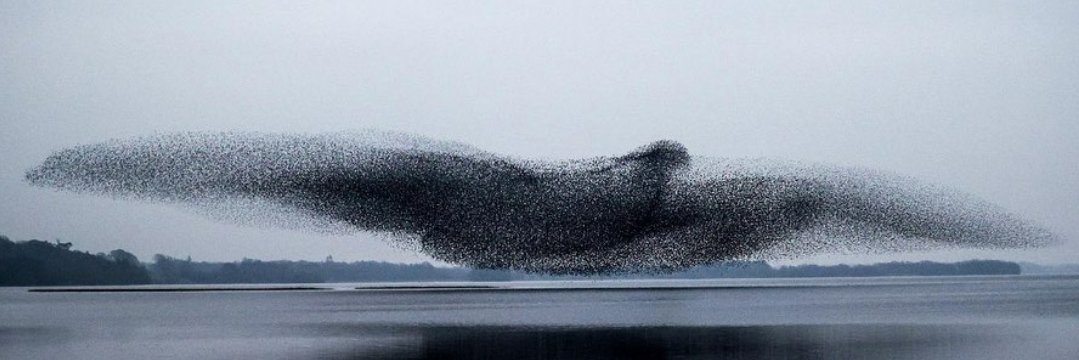 The Last Thursday banner