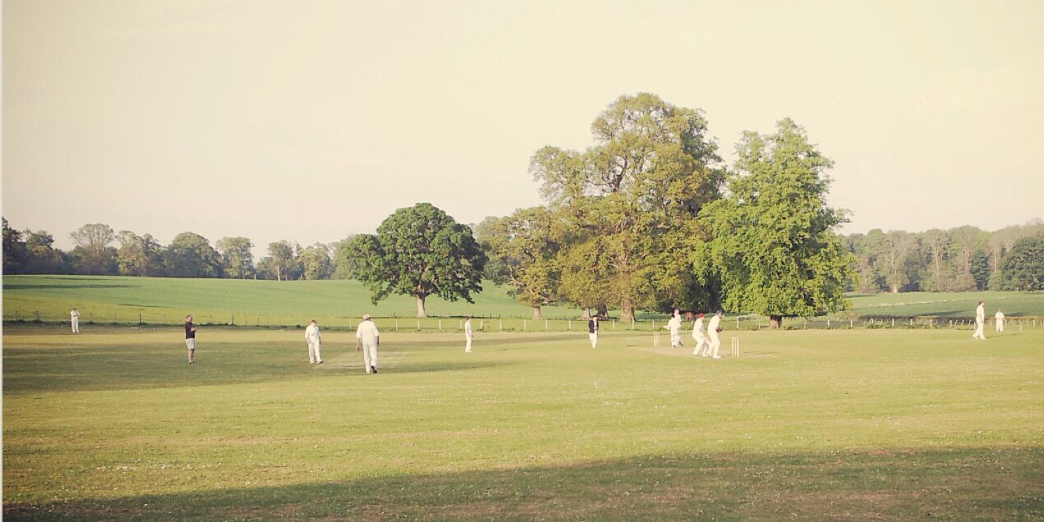 Rossie Priory CC banner