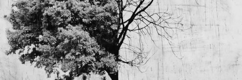 _AMD_END's profile banner image