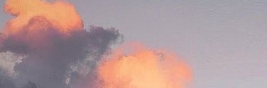 Кулица banner