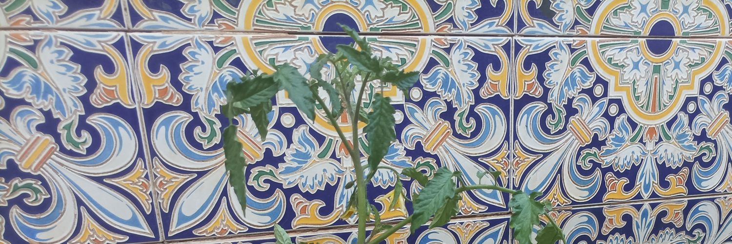 tomateclik's profile banner image