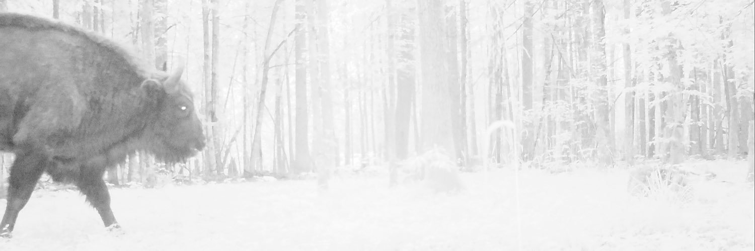 dr Katarzyna Nowak banner