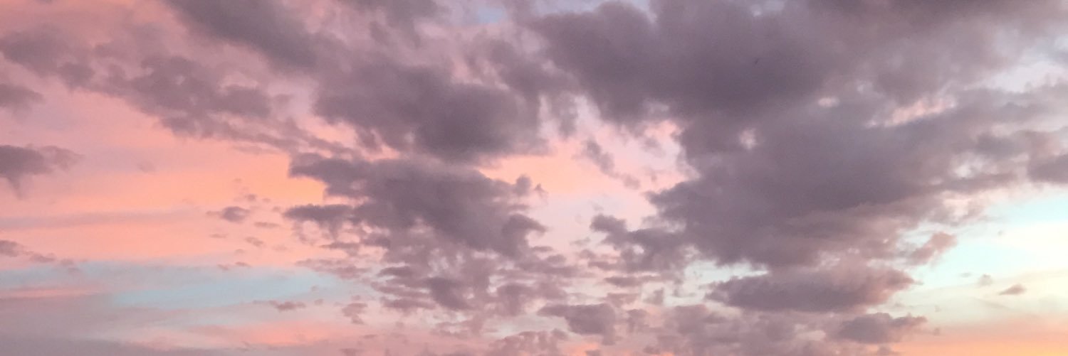 HaileyVoliva's profile banner image