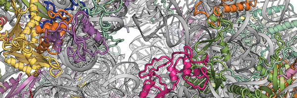 LafontaineLab Profile Banner