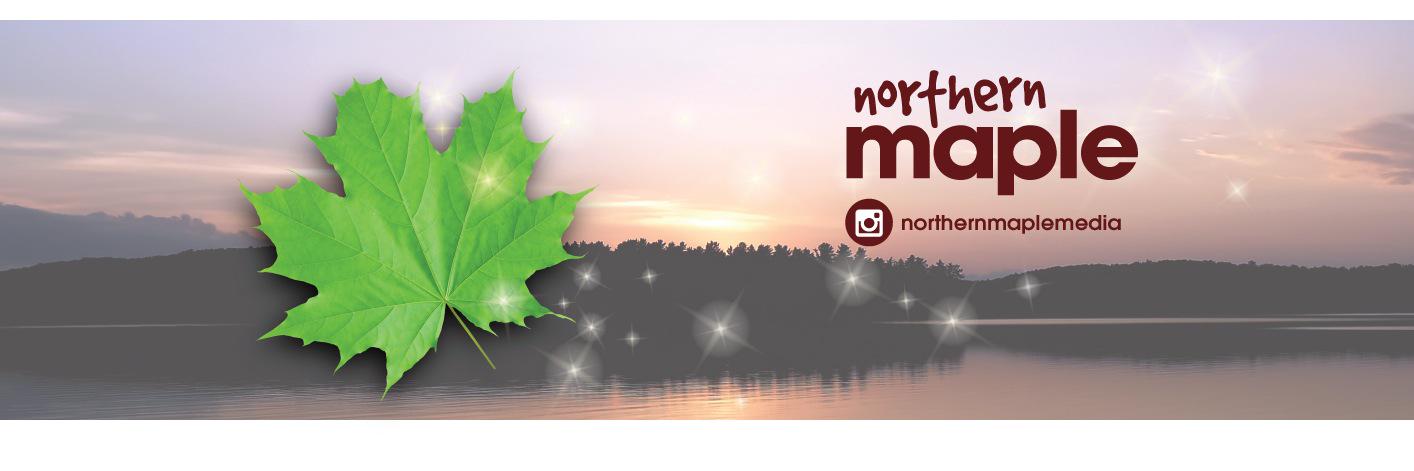 NorthernMaple's profile banner image