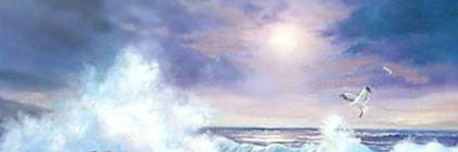 Maroussia's banner