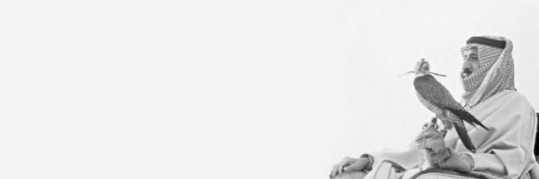 i__o0's profile banner image