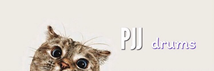 paiotukaidee's profile banner image