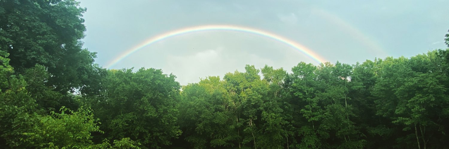 araewalt's profile banner image