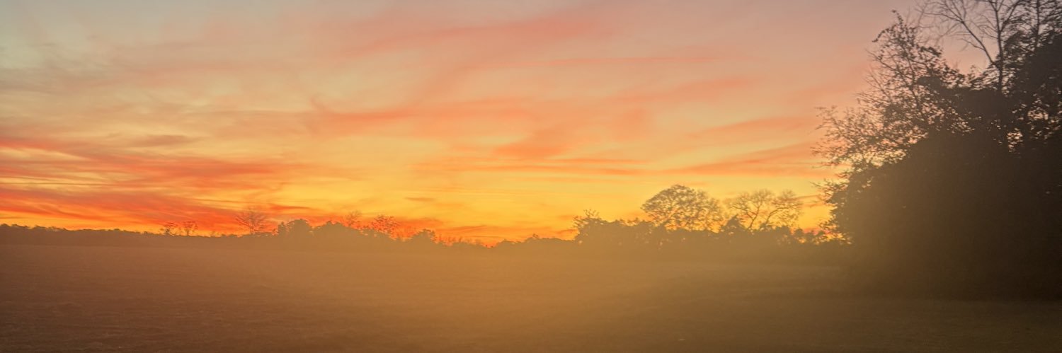 Alayah Steele banner