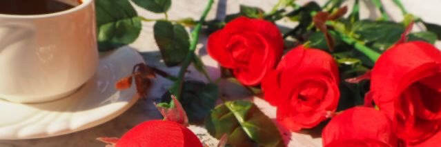 risa.skg banner