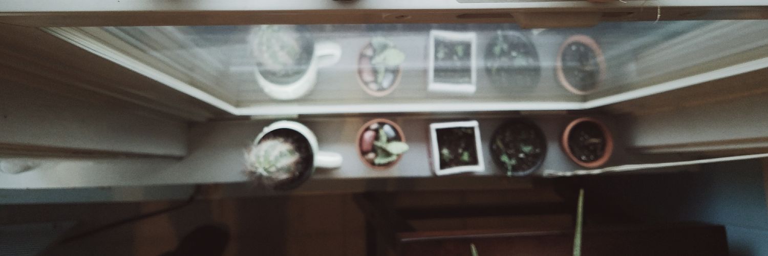 bro_c_mor's profile banner image