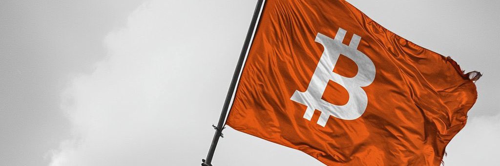 Kim Chi banner